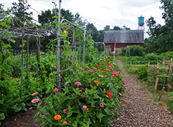Gardens at the Living Earth Center. Photo taken during the 1st Annual Picnic.