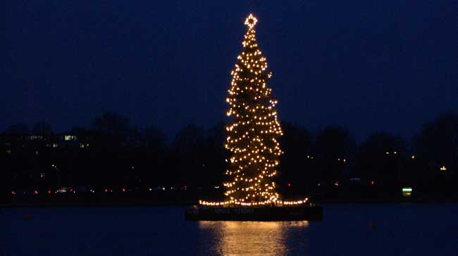 Silent Night - Image of lit Christmas tree on the water