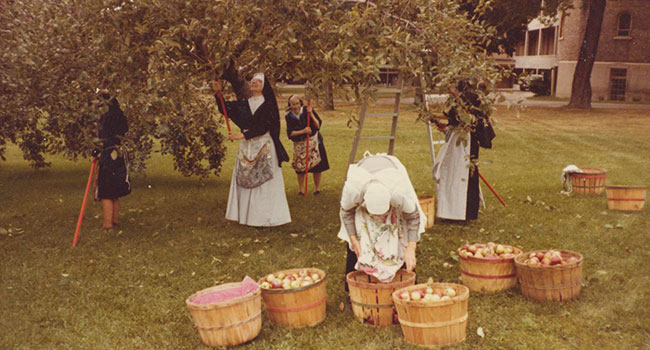 This is a photo of sisters picking apples in the orchard at  Notre Dame of Elm Grove, Elm Grove, Wisconsin.