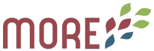 MORE Logo