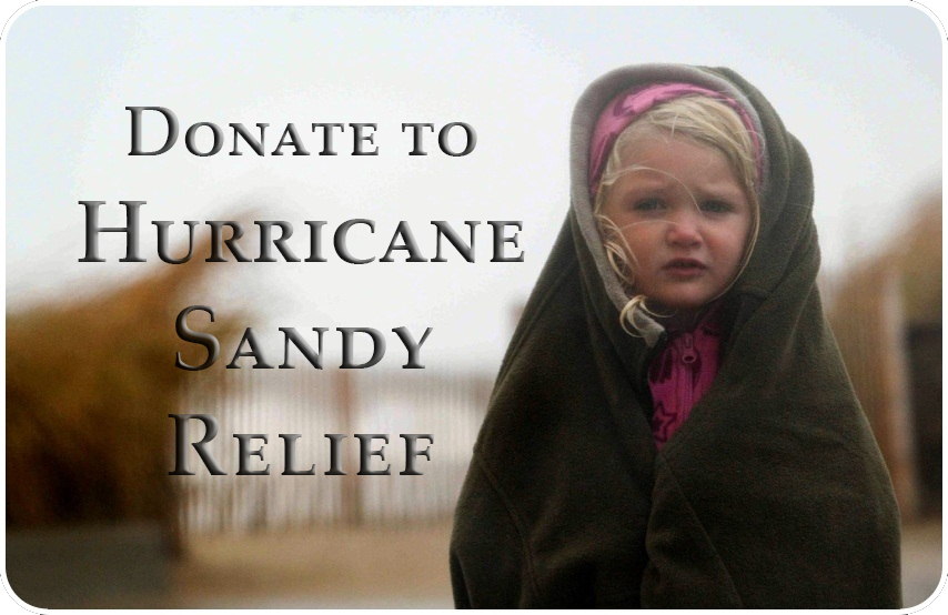 Hurricane Sandy Relief Donate Button