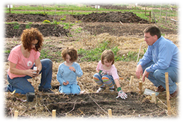 A family planting a garden together.