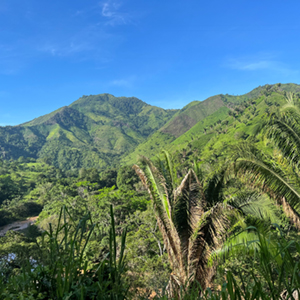 The mountains in Bajo Aguán, Honduras.